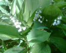 Imag055