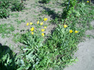 28-29.04.2012 (11)