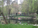 lacul din parc