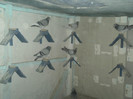 compartiment tineri  -2012-