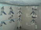 compartiment tineri  -2012-