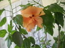 DSCN3075