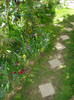 DSC07120