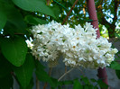 P1050307