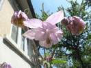 P1050275