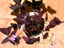 IMAG0023