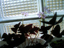 IMAG0015
