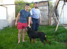 Mascul Rottweiler