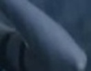 21501119_DOTJNIVJJ_006