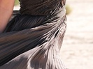 selena_gomez_a_year_without_rain_2010-normal_009