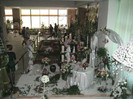 Picture 238