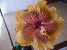 P1120947