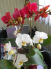 DSCN0752