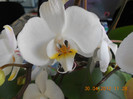 DSCN0753
