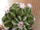 DSCF9776