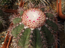 DSCF9043