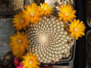 DSCF9716