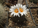 DSCF9697