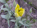 Picture 070