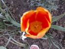 Picture 075