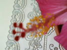 29 aprilie 2012-flori 010