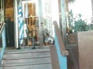 Demi Lovato Saludando en el hotel Radisson Uruguay 29_04_12 1226