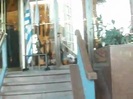 Demi Lovato Saludando en el hotel Radisson Uruguay 29_04_12 1227