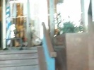 Demi Lovato Saludando en el hotel Radisson Uruguay 29_04_12 1237