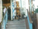 Demi Lovato Saludando en el hotel Radisson Uruguay 29_04_12 1326