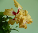 P1380671