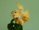 P1380672