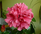 P1380689