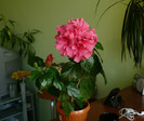 P1380692