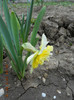 DSCN2077