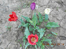 DSCN2080