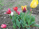 DSCN2084