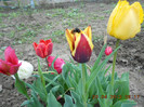 DSCN2086