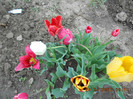 DSCN2088