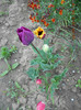 DSCN2097