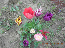 DSCN2100