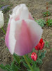 DSCN2105