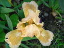 DSC07363