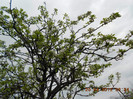 DSCN2142