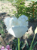 DSCN2205