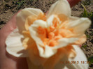 DSCN2216