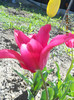 DSCN2221