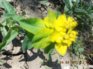 DSCN2224