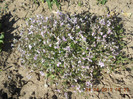DSCN2232