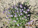 DSCN2234
