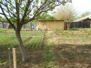 DSCN2252